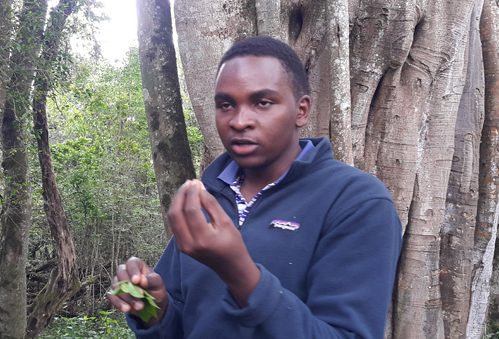 Cyril lectures on indigenous trees of the mountain forest.