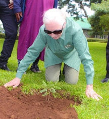Jane Goodall plants mpingo seedling from ABCP nursery at Mweka Wildlife College in Moshi.